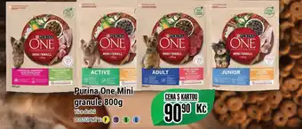 Purina One Mini granule 800g
