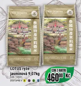 LOTUS rýže jasmínová 9,07kg