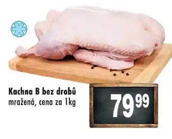 Qanto Kachna B bez drobů nabídka