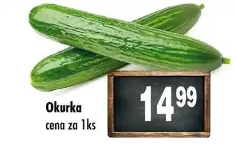 Qanto Okurka nabídka