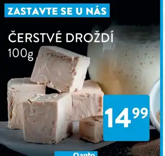 Qanto ČERSTVÉ DROŽDÍ nabídka