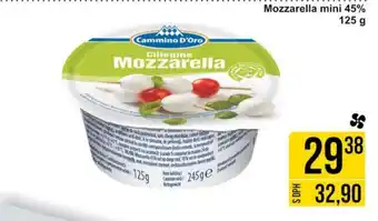Jip Mozzarella mini 45% 125 g nabídka