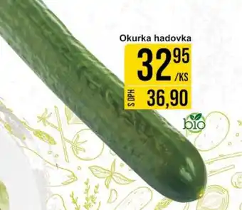 Jip Okurka hadovka nabídka