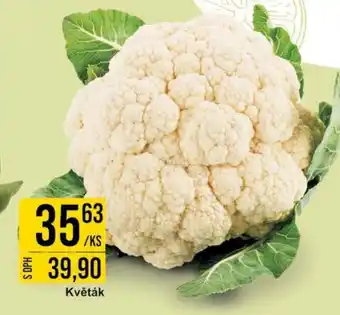 Jip Květák nabídka