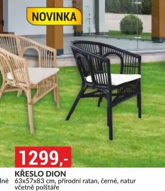 Baumax KŘESLO DION nabídka