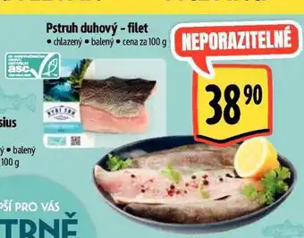 Albert Pstruh duhový nabídka