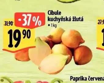 Albert Cibule kuchyňská žlutá nabídka