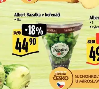 Albert Bazalka v kořenáči nabídka