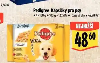 Albert Pedigree kapsičky pro psy nabídka