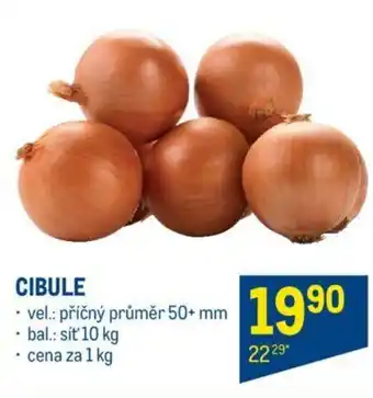 Makro CIBULE nabídka