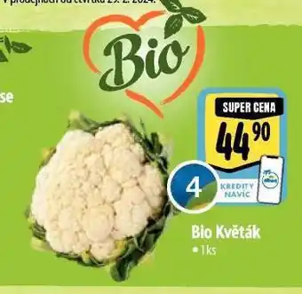 Albert Bio květák nabídka