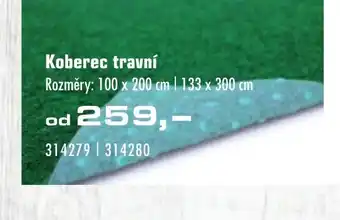 Koberec travní
