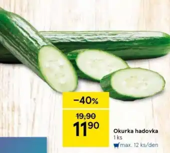 Tesco Okurka hadovka nabídka