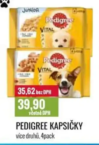 Ratio PEDIGREE KAPSIČKY více druhů, 4pack nabídka