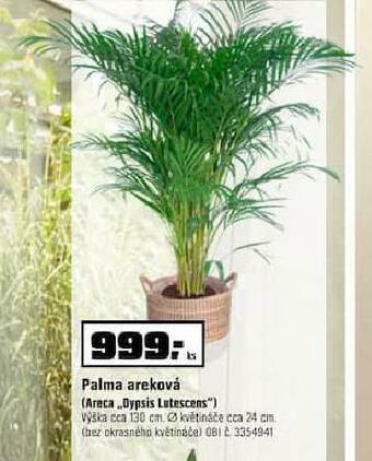 OBI Palma areková nabídka