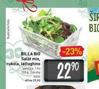 Billa bio salát mix, rukola, lattughino