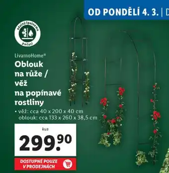 Lidl Oblouk na růže / věž na popínavé rostliny nabídka