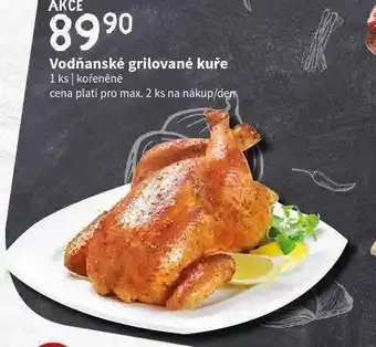 Terno Vodňanské grilovací kuře nabídka