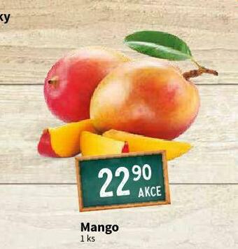 Terno Mango nabídka