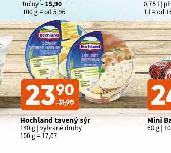 Terno Hochland tavený sýr nabídka