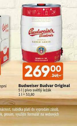 Terno Pivo budweiser budvar nabídka