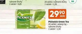Terno Pickwick čaj green nabídka