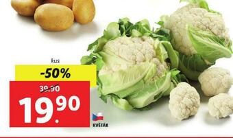 Lidl Květák nabídka