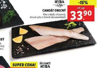 Lidl Candát obecný nabídka