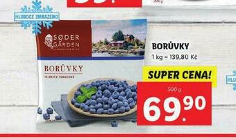 Lidl Borůvky nabídka