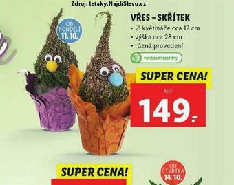 Lidl Vřes - skřítek nabídka