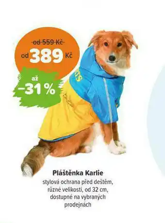 Pláštěnka karlie