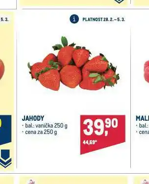 Makro Jahody nabídka