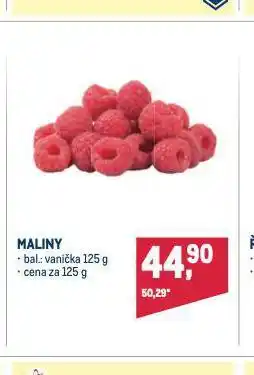 Makro Maliny nabídka