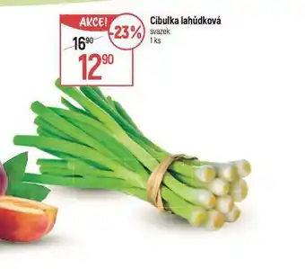 Globus Cibulka lahůdková nabídka
