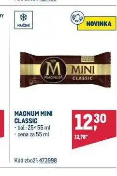 Makro Zmrzlina magnum nabídka