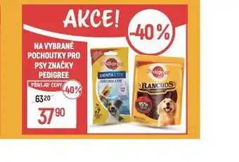Globus Pedigree dentální pochoutky pro psy nabídka