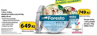 Dr. Max Foresto nabídka