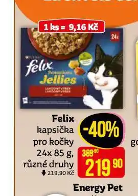 Teta Felix kapsičky pro kočky nabídka