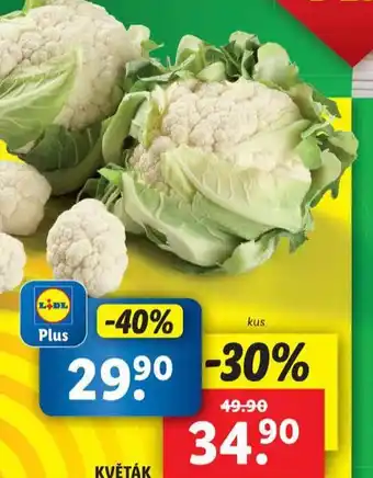 Lidl Květák nabídka