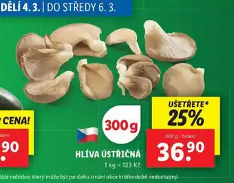 Hlíva ústřičná