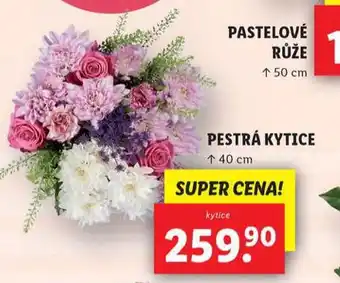 Lidl Pestrá kytice nabídka