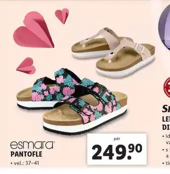 Lidl Pantofle nabídka