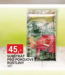 Baumax Substrát pro pokojové rostliny nabídka