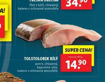Lidl Tolstolobik bílý nabídka