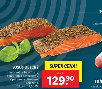Lidl Losos obecný nabídka