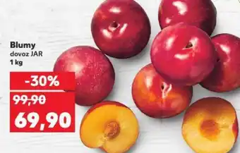 Kaufland Blumy nabídka