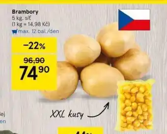 Tesco Brambory nabídka