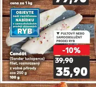 Kaufland Candát nabídka