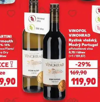 Vinofol vinohrad modrý portugal