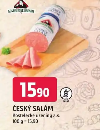 Trefa ČESKÝ SALÁM nabídka